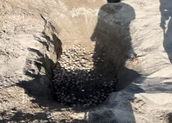 La medida busca frenar la destrucción de nidos y la compactación de la arena en santuarios de relevancia mundial.