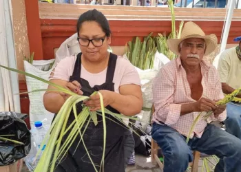 Los saberes de abuelas y abuelos de la Mixteca forman parte de la memoria viva de las comunidades.