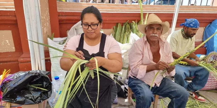 Los saberes de abuelas y abuelos de la Mixteca forman parte de la memoria viva de las comunidades.