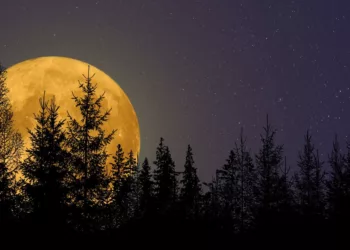 Luna de Cosecha 2026: cómo y cuándo ver el fenómeno astronómico de septiembre