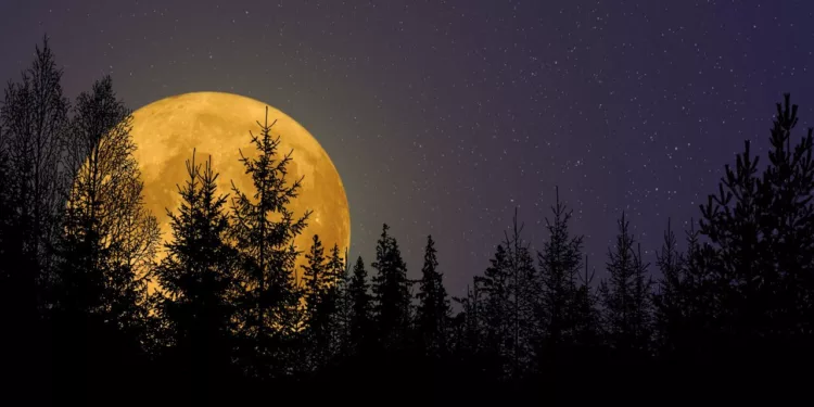 Luna de Cosecha 2026: cómo y cuándo ver el fenómeno astronómico de septiembre