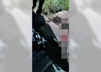 Peritos y agentes resguardaron la motocicleta Itálika y el área del puente para realizar los peritajes correspondientes.