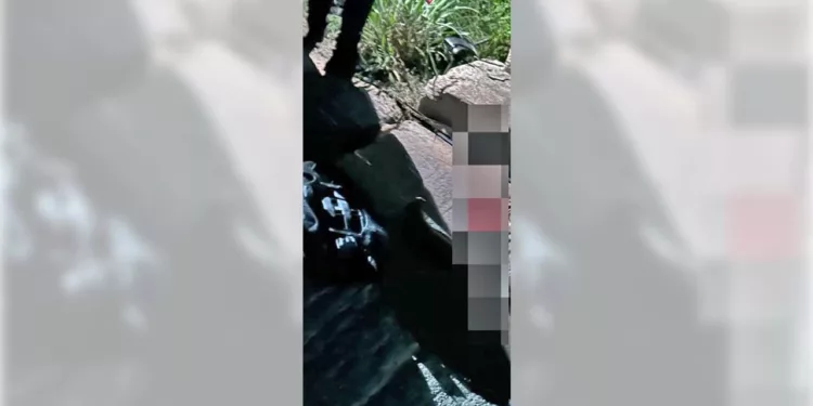 Peritos y agentes resguardaron la motocicleta Itálika y el área del puente para realizar los peritajes correspondientes.