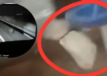 VIDEO | ¡Pánico en la madrugada! Atacan a pedradas autobús en la carretera Puebla-Oaxaca