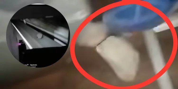 VIDEO | ¡Pánico en la madrugada! Atacan a pedradas autobús en la carretera Puebla-Oaxaca