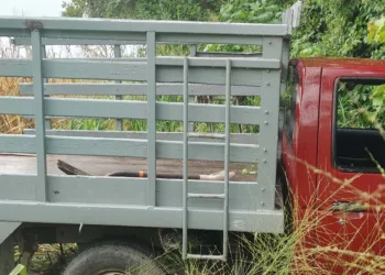 Realizaron maniobras para sacar la camioneta Nissan de la maleza.