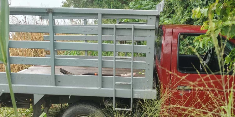 Realizaron maniobras para sacar la camioneta Nissan de la maleza.