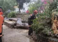 Severos encharcamientos y caída de árboles por lluvia