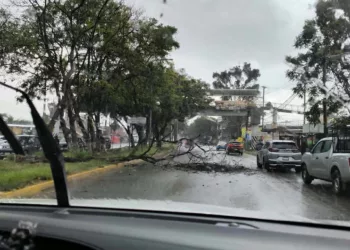 Colapsa la red eléctrica en el oriente de la ciudad