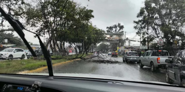 Colapsa la red eléctrica en el oriente de la ciudad