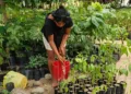 Regidora denuncia falta de apoyo para atender problemas ambientales en Tonameca