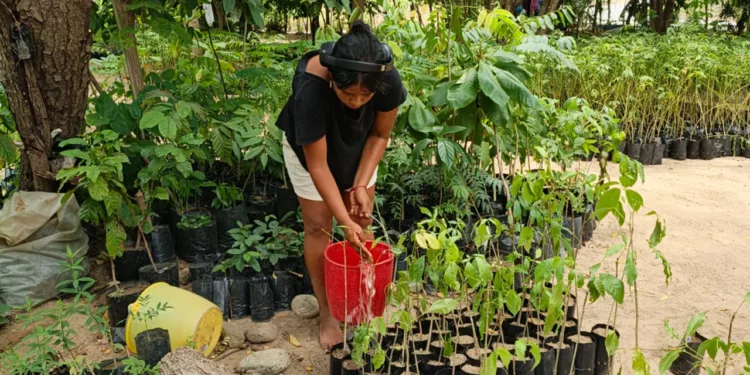 Regidora denuncia falta de apoyo para atender problemas ambientales en Tonameca