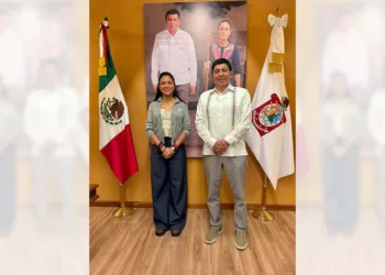 Imponen a Chávez Cruz en el IEEPO, pese a críticas
