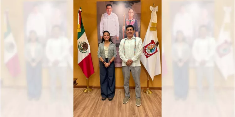 Imponen a Chávez Cruz en el IEEPO, pese a críticas