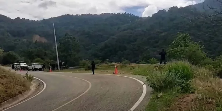 ¡La arrojaron a un barranco! Investigan feminicidio de joven en Zaachila