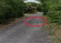Localizan a hombre sin vida cerca de El Estero; investigan posible ataque armado