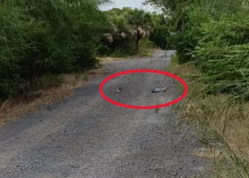 Localizan a hombre sin vida cerca de El Estero; investigan posible ataque armado