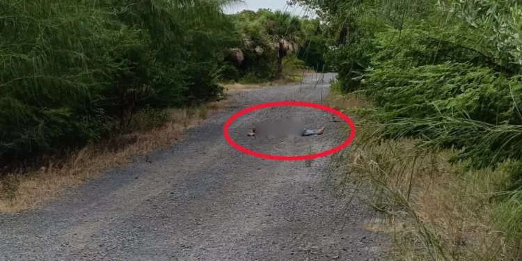 Localizan a hombre sin vida cerca de El Estero; investigan posible ataque armado