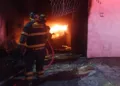 ¡Festejo patrio termina en tragedia! Incendio mata a 14 perros en una vivienda de GAM