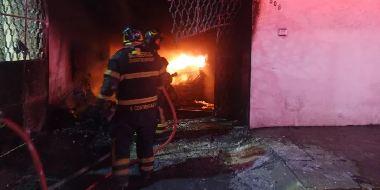 ¡Festejo patrio termina en tragedia! Incendio mata a 14 perros en una vivienda de GAM