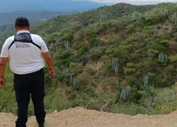 Personal ministerial y cuerpos de rescate laboraron durante horas al fondo del barranco de 150 metros para rescatar los cuerpos y auxiliar a los sobrevivientes.