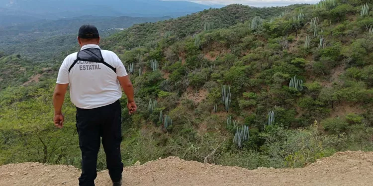 Personal ministerial y cuerpos de rescate laboraron durante horas al fondo del barranco de 150 metros para rescatar los cuerpos y auxiliar a los sobrevivientes.