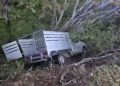 La camioneta Nissan de redilas terminó volcada sobre su costado izquierdo tras el violento impacto ocurrido en la carretera federal 190.