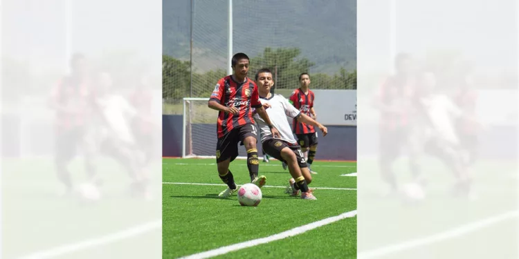Dragones Juvenil debuta este sábado.
