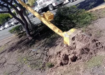 El conductor de la camioneta Silverado derribó un semáforo.
