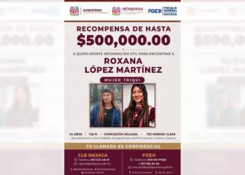 Roxana López Martínez, ingeniera de San Martín Itunyoso.