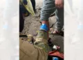 Paramédicos del cuerpo de Bomberos brindan primeros auxilios a la mujer lesionada por la jauría.