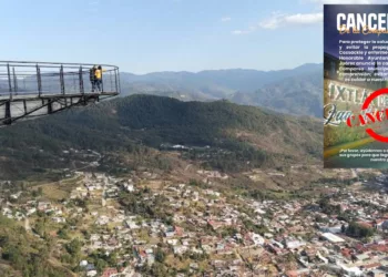 ¡Coxsackie frena la fiesta en Ixtlán! Cancelan comparsa municipal por brote viral