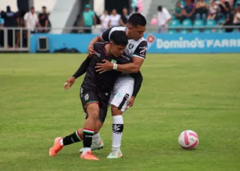 Chapulineros se impusieron de visita en Tapachula.