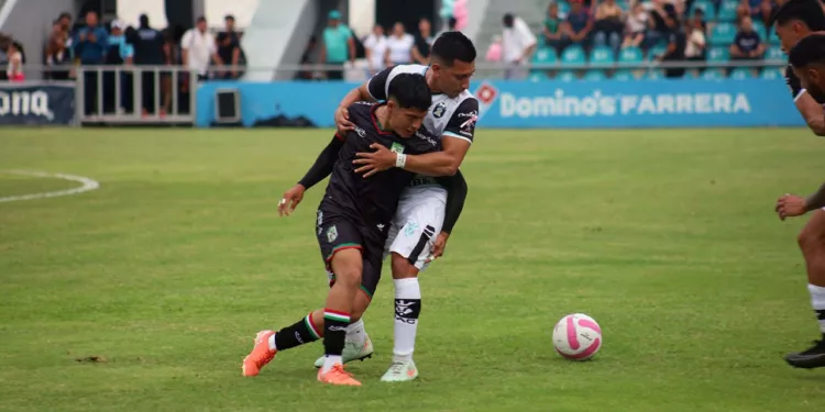 Chapulineros se impusieron de visita en Tapachula.