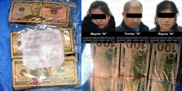 Casi 366 mil dólares los ponen en la mira en Oaxaca: tres personas enfrentan proceso judicial tras llegar de Texas