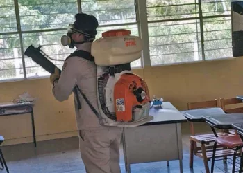 Durante la jornada se efectuaron trabajos de fumigación para combatir al mosquito Aedes aegypti.