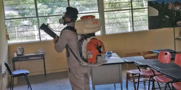Durante la jornada se efectuaron trabajos de fumigación para combatir al mosquito Aedes aegypti.