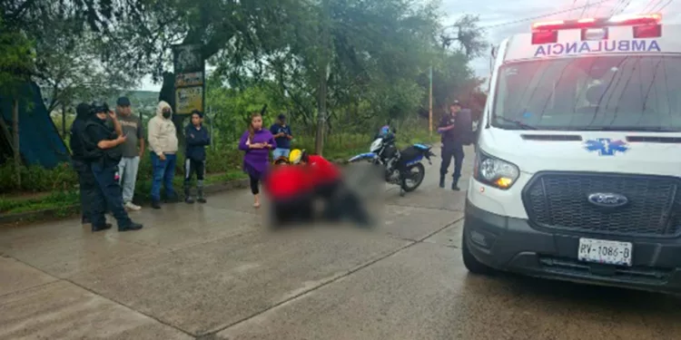 El conductor fue atendido en el sitio por una contusión frontal.