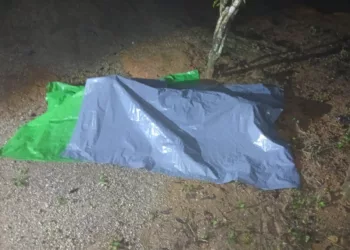 Encuentran cadáver oculto bajo plásticos en un patio en Loxicha