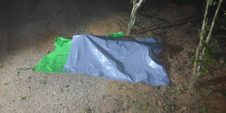 Encuentran cadáver oculto bajo plásticos en un patio en Loxicha