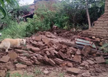 El reblandecimiento de la tierra derivado del temporal lluvioso causó la caída de muros de adobe vulnerables en la Mixteca.