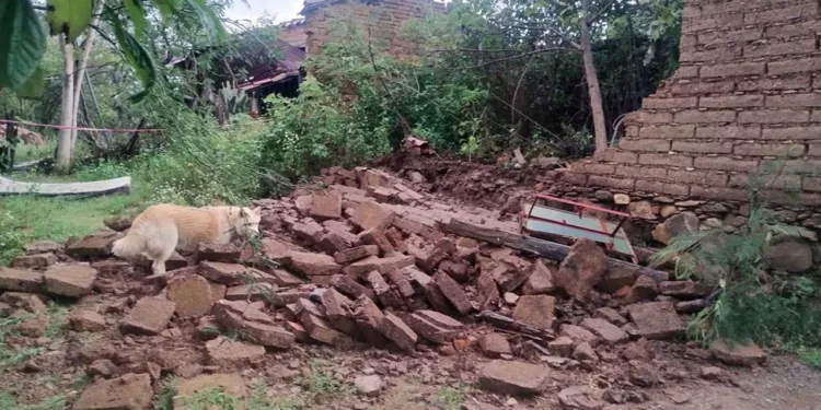 El reblandecimiento de la tierra derivado del temporal lluvioso causó la caída de muros de adobe vulnerables en la Mixteca.
