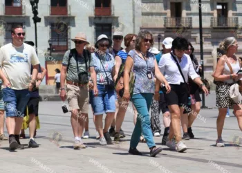 Se están logrando números históricos para Oaxaca con 140 y 150 operaciones