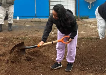 El proyecto busca acercar a niñas y niños a prácticas agrícolas.