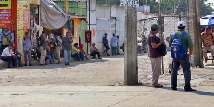 Desempleo en México baja a 2.8% en septiembre de 2026, reporta el Inegi