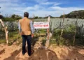 En ninguno de los casos se acreditó contar con la autorización de cambio de uso de suelo.