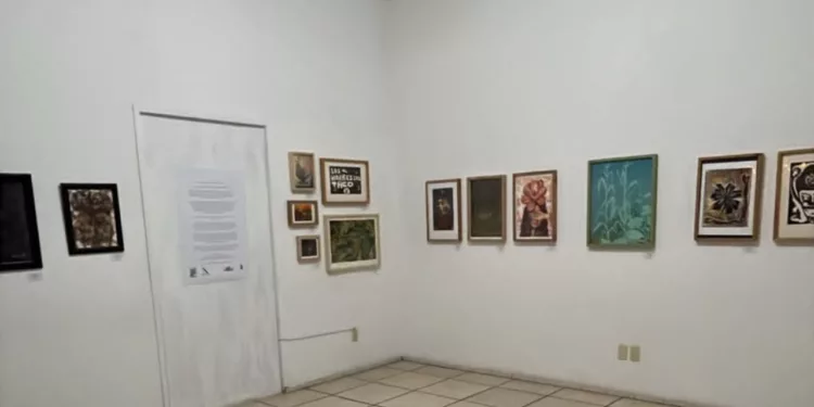 “Bendita Muerte”: Exposición colectiva con 29 artistas en Oaxaca