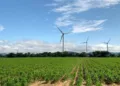 La propuesta intenta instalar el parque entre los municipios de Juchitán de Zaragoza y Santa María Xadani.