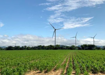 La propuesta intenta instalar el parque entre los municipios de Juchitán de Zaragoza y Santa María Xadani.