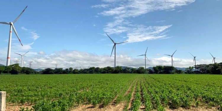 La propuesta intenta instalar el parque entre los municipios de Juchitán de Zaragoza y Santa María Xadani.